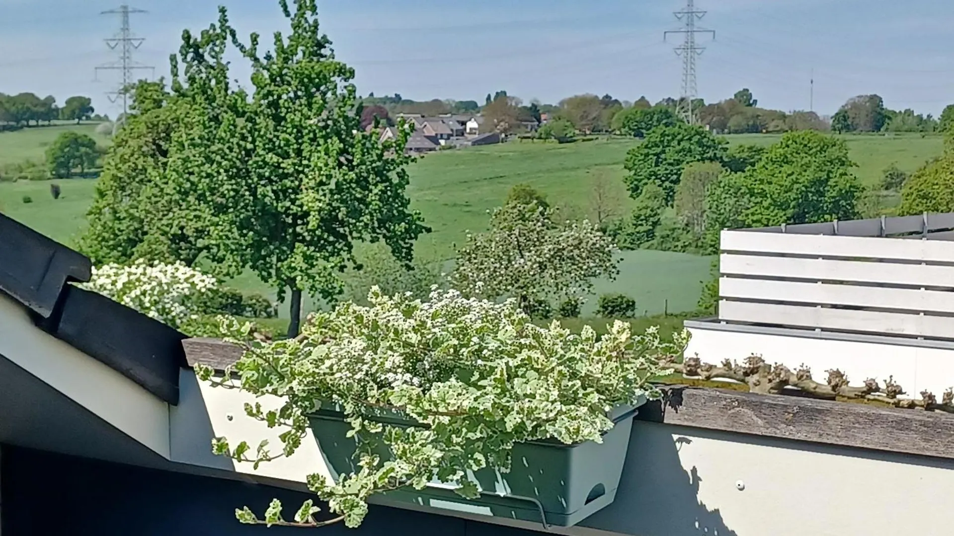 Boave Ut Wirkes Appartement Klimmen Nederland